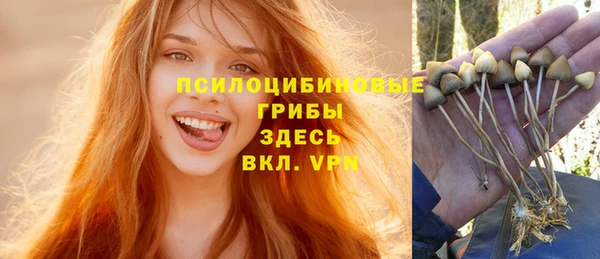 бутират Алексеевка