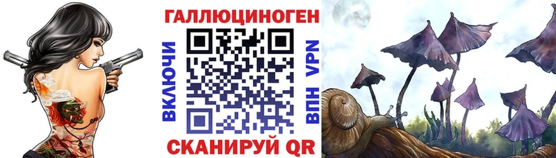 где найти   Ахтубинск  Галлюциногенные грибы GOLDEN TEACHER 